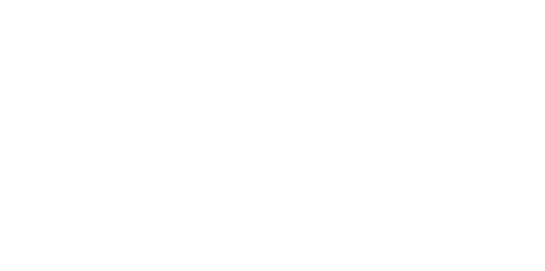Hacking Force BR